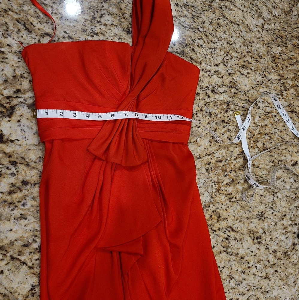 Dress Is A Stunner! - Picture 4 of 13